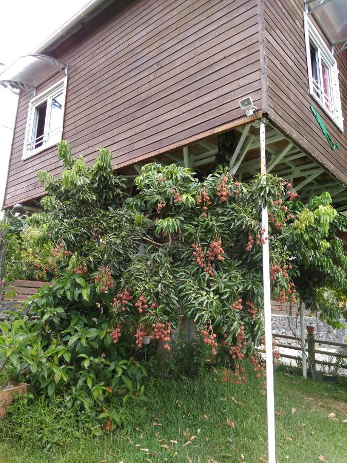 Villa Ti Kaz Perchee Entre-Deux Exterior foto